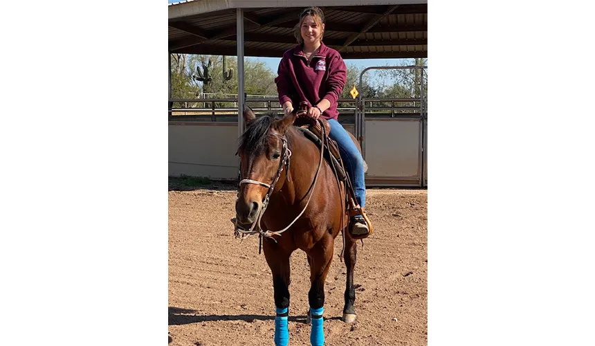 Equestrian