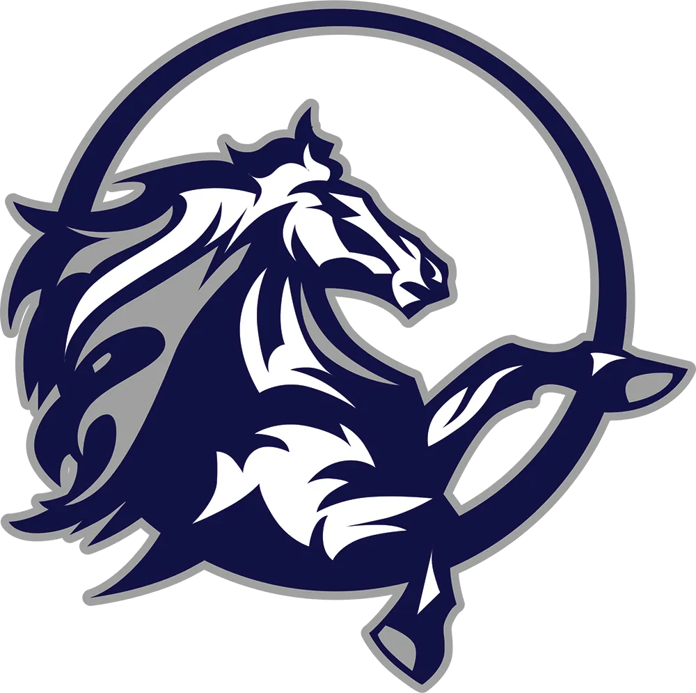 mustangs mustangs