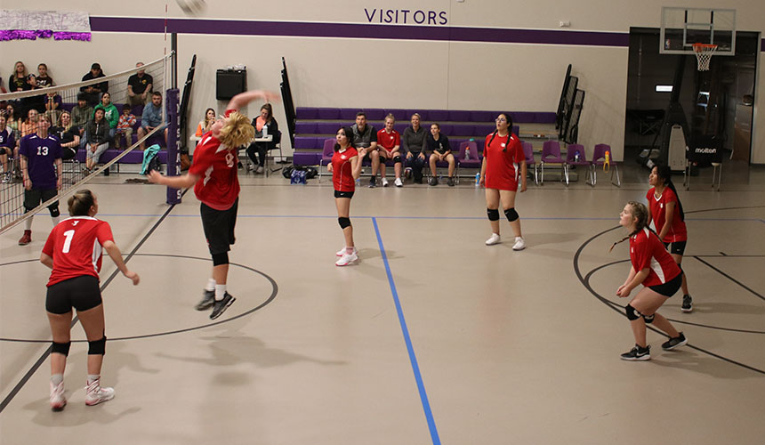 girls volleyball team